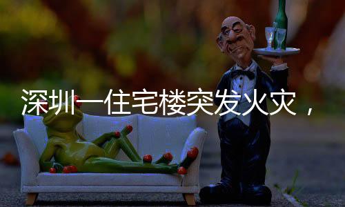 深圳一住宅楼突发火灾，现场黑烟冲天，消防部门紧急救援