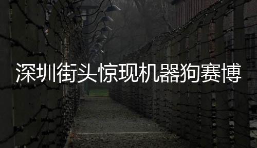 深圳街头惊现机器狗赛博舞狮——人工智能与城市文化交融新亮点
