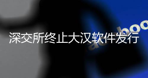 深交所终止大汉软件发行上市审核，业内反响及相关解析