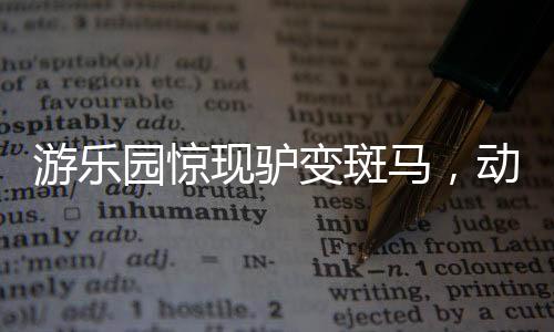 游乐园惊现驴变斑马，动物角色错位引发社会关注