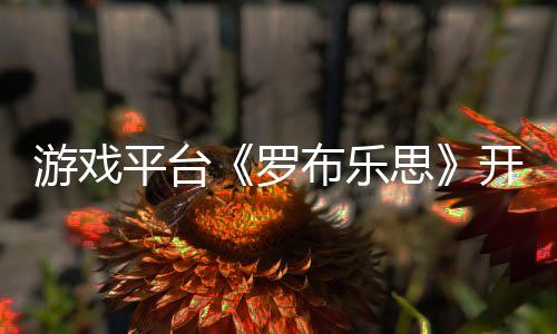 游戏平台《罗布乐思》开发商2024年收入增长29%