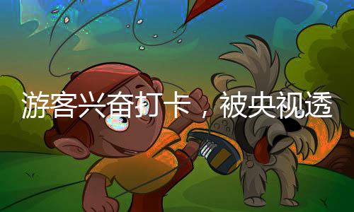 游客兴奋打卡，被央视透明直播间直播——一场意外的直播之旅