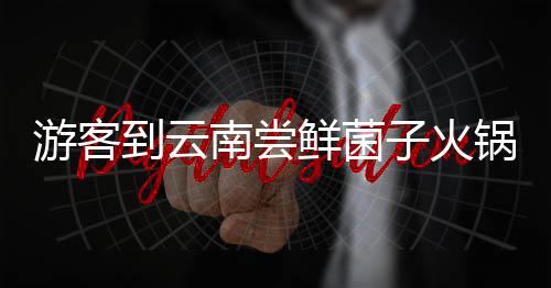 游客到云南尝鲜菌子火锅，独特规则令人惊叹