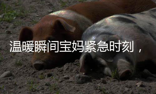 温暖瞬间宝妈紧急时刻，武警战士无私守护，照看宝宝展现军民鱼水情