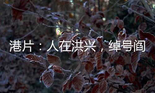 港片：人在洪兴，绰号阎王