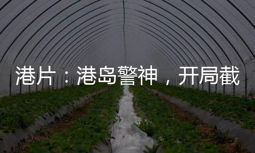港片：港岛警神，开局截胡何敏