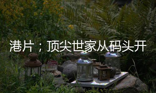 港片；顶尖世家从码头开始