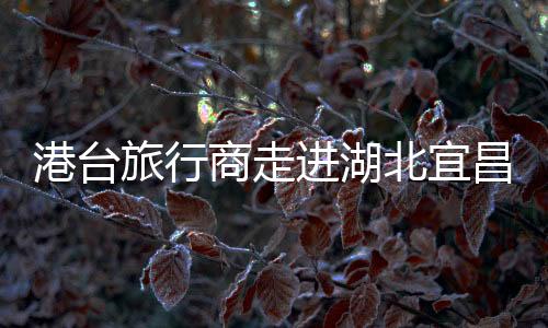 港台旅行商走进湖北宜昌 沉浸式体验三峡文化