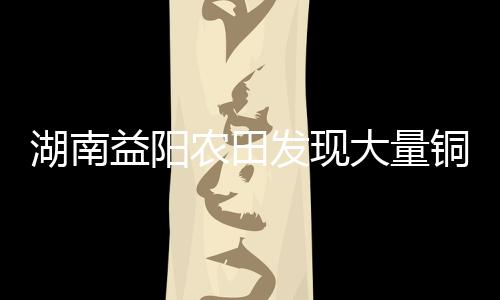 湖南益阳农田发现大量铜钱，千年宝藏重现人间