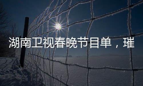 湖南卫视春晚节目单，璀璨盛宴，共迎新春