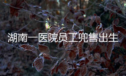 湖南一医院员工兜售出生证事件曝光，丑闻背后的警示与思考