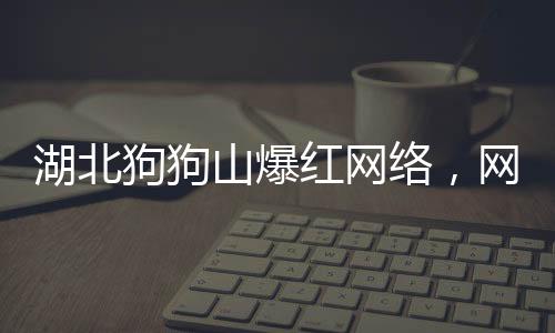 湖北狗狗山爆红网络，网友直呼太像了