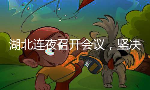 湖北连夜召开会议，坚决拥护中央对蒋超良的调查