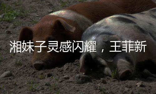 湘妹子灵感闪耀，王菲新歌歌词一小时创作传奇