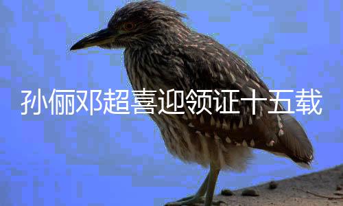 孙俪邓超喜迎领证十五载，共度风雨路仍显深情蜜意