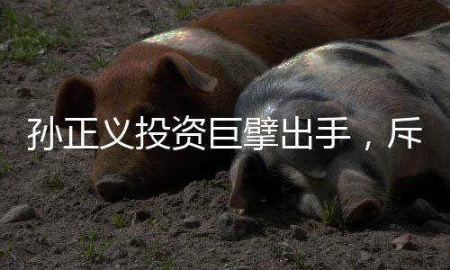 孙正义投资巨擘出手，斥资65亿美元收购美国芯片巨头，行业震动！