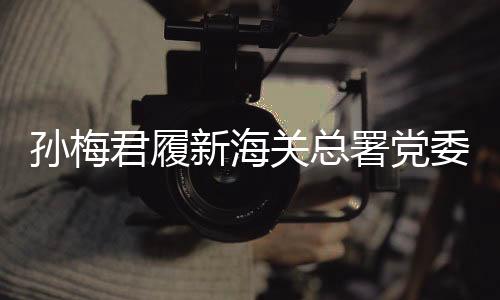 孙梅君履新海关总署党委书记，引领中国海关事业迈向新高度