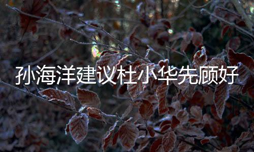 孙海洋建议杜小华先顾好身体和家庭，关注个人健康，平衡工作与家庭关系