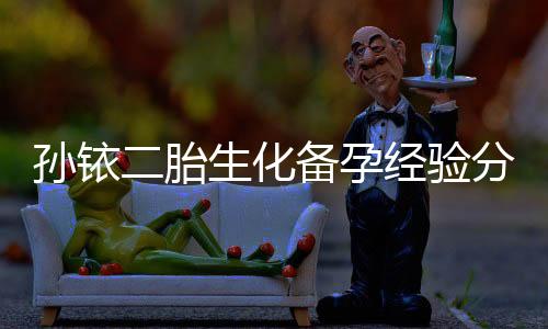 孙铱二胎生化备孕经验分享，备孕前不可忽视的五大关键事项
