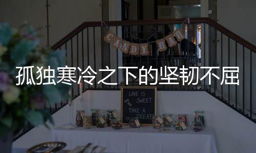 孤独寒冷之下的坚韧不屈，从冷冷冷中寻求生命的暖意