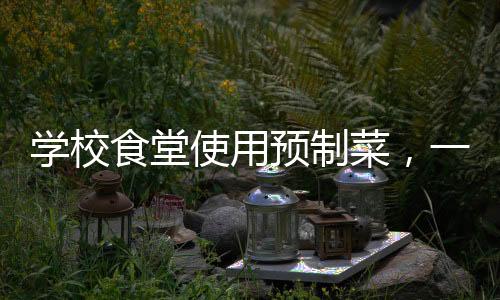 学校食堂使用预制菜，一种趋势还是选择？