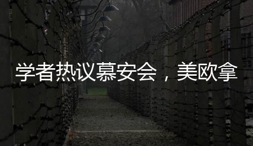 学者热议慕安会，美欧拿错剧本，全球秩序重塑引深思