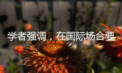 学者强调，在国际场合要懂沟通会辩论