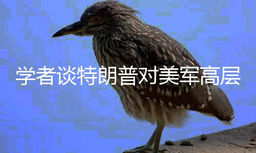 学者谈特朗普对美军高层大换血，影响与展望