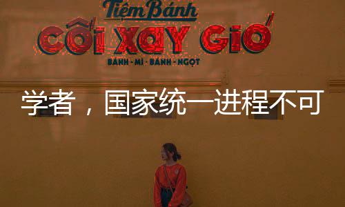 学者，国家统一进程不可阻挡