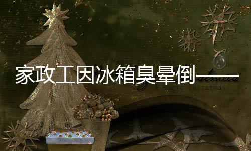 家政工因冰箱臭晕倒——一次意外的家庭安全隐患事件