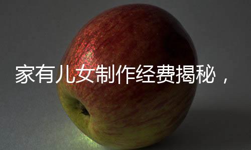 家有儿女制作经费揭秘，餐桌上的投资细节分析