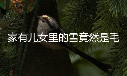 家有儿女里的雪竟然是毛巾——揭秘幕后故事