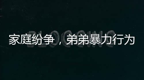 家庭纷争，弟弟暴力行为引发关注，姐姐权益亟待保护