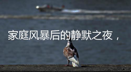 家庭风暴后的静默之夜，儿子含泪收拾父母争吵的残局