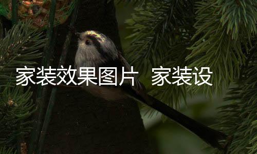 家装效果图片  家装设计技巧有哪些
