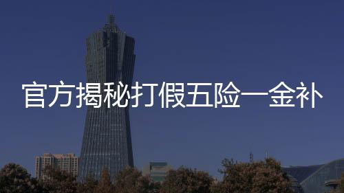 官方揭秘打假五险一金补贴骗局，保护民众利益免受侵害