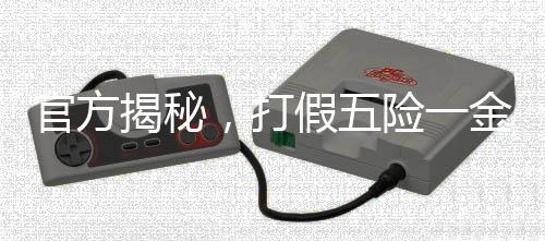 官方揭秘，打假五险一金补贴骗局，守护民众权益不受侵害