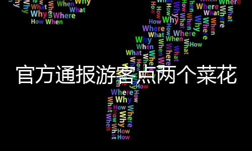 官方通报游客点两个菜花费844元事件，关于价格透明化与消费者权益保护的探讨