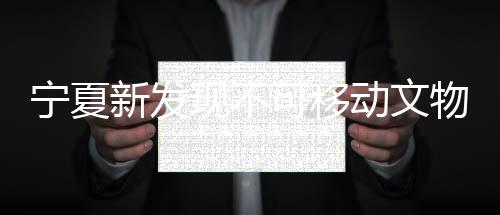 宁夏新发现不可移动文物线索322条
