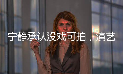 宁静承认没戏可拍，演艺界的现实与挑战
