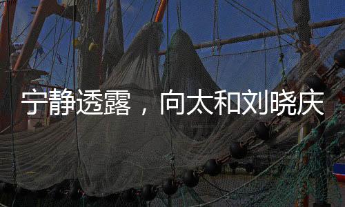 宁静透露，向太和刘晓庆是我的恩人