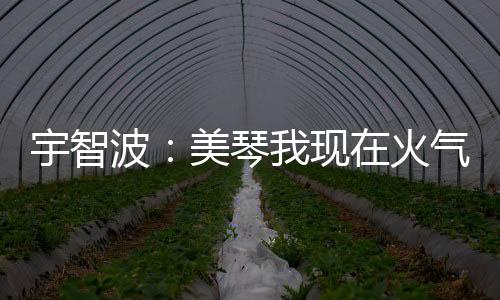 宇智波：美琴我现在火气有点大