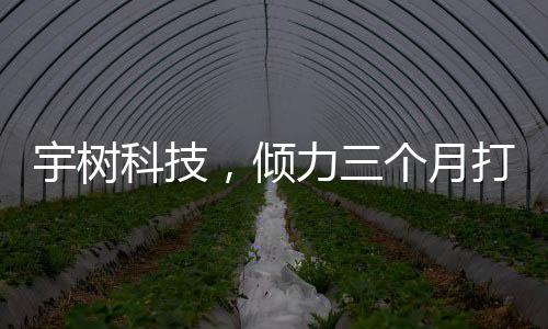 宇树科技，倾力三个月打造，机器人扭秧歌惊艳亮相