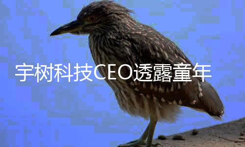 宇树科技CEO透露童年往事，成绩不突出背后的成长故事
