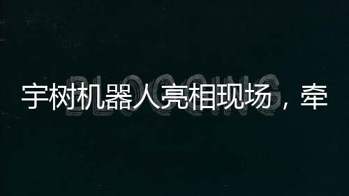 宇树机器人亮相现场，牵绳遛狗展现智能新境界