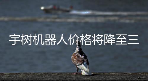 宇树机器人价格将降至三四千元，引领科技潮流的新起点