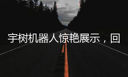 宇树机器人惊艳展示，回旋踢炫技，引领智能科技新潮流