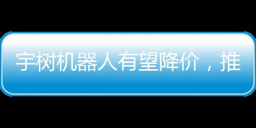 宇树机器人有望降价，推动智能机器人普及新篇章
