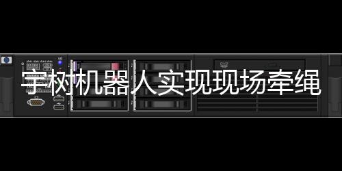 宇树机器人实现现场牵绳遛狗技术，智能机器人领域再掀革命浪潮