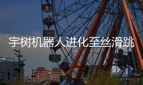 宇树机器人进化至丝滑跳街舞，展现未来科技与艺术的融合之美